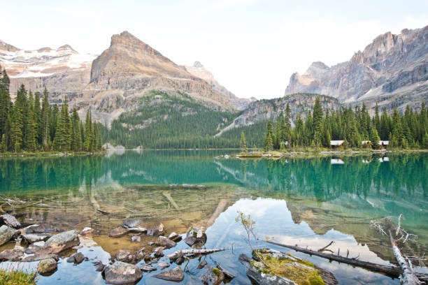 istock Lake O'hara in Yoho national park, Canada 1184187071