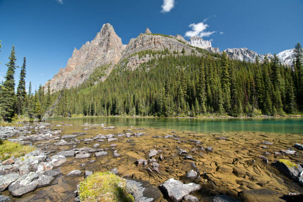istock Lake O'hara in Yoho national park, Canada 1184187925