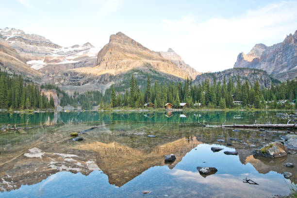 istock Lake O'hara in Yoho national park, Canada 1184187926
