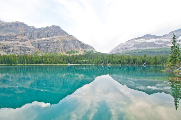 istock Lake O'hara in Yoho national park, Canada 1184188070