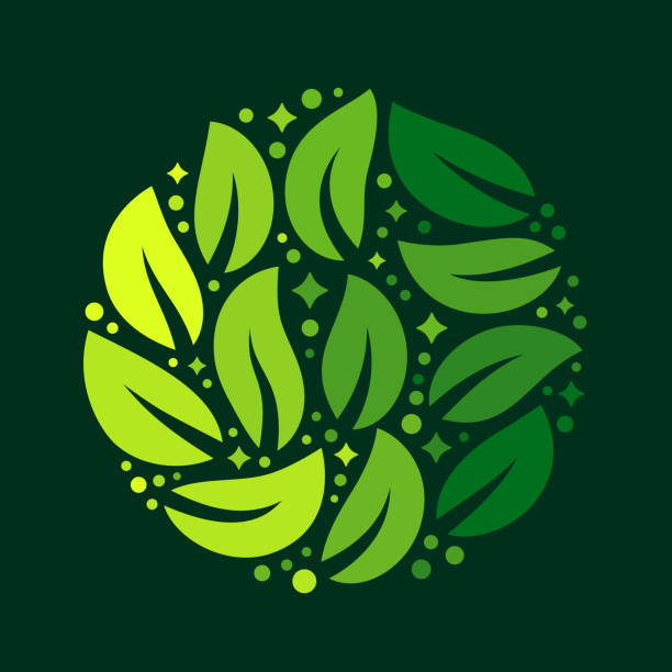 ilustrações de stock, clip art, desenhos animados e ícones de leaf circle abstract - lime green