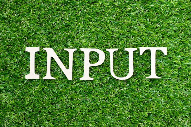 istock Wood alphabet letter in word input on green grass background 1184192613