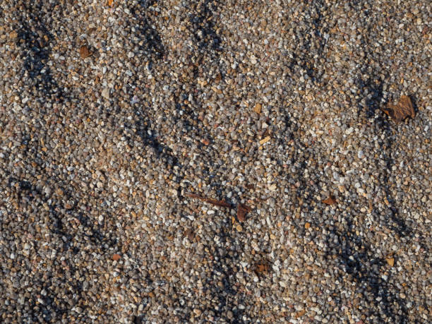 サンゴの破片を持つサンゴ砂の質感 - coral break ストックフォトと画像