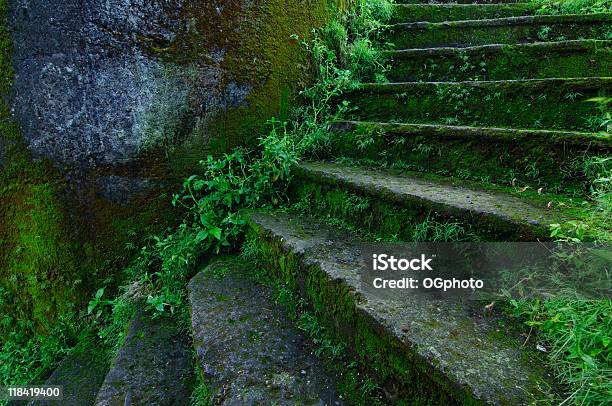Abandonado Edifício Escadas - Fotografias de stock e mais imagens de Abandonado - Abandonado, Acabado, América Central