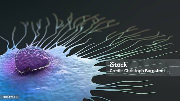 Scientific Illustration Of A Migrating Breast Cancer Cell 3d Illustration Stock Photo - Download Image Now