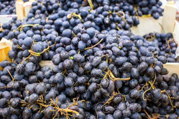 istock ripe fresh black grapes on the market counter 1184196330
