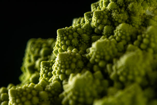 romanesco broccoli (cavolfiore romano) macro natura morta - romanesque broccoli cauliflower cabbage foto e immagini stock