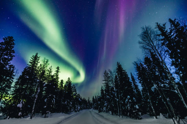 Colorful polar arctic Northern lights Aurora Borealis activity in snow winter forest in Finland Colorful polar arctic Northern lights Aurora Borealis activity in snow winter forest in Finland, Lapland northern lights stock pictures, royalty-free photos & images