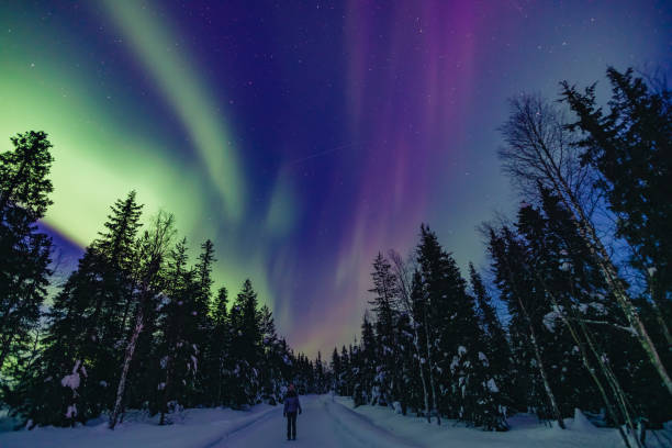 coloridas luces árticas del norte aurora boreal actividad con una persona en el bosque de invierno de nieve en finlandia - cabin snow finland lapland fotografías e imágenes de stock