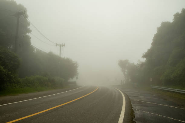 istock A mountain road covered by fog causing limited visibility with trees on both sides 1184198483