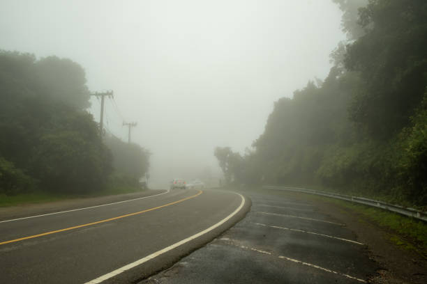 istock A mountain road covered by fog causing limited visibility with trees on both sides 1184198491