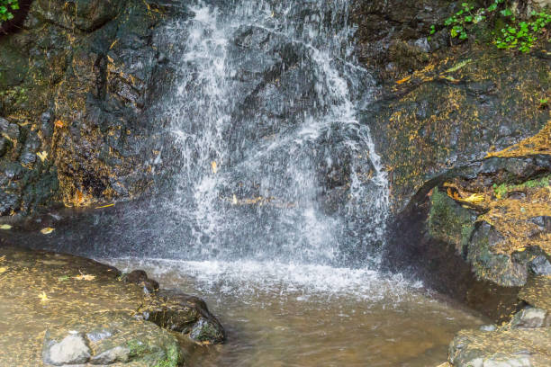 istock Tumwater Falls Park Misty Waterfall 1184199224