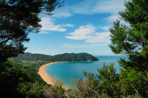 Tropical Beach A wide-view shot of Kaiteriteri which is a beach in the South Island of New Zealand. abel tasman national park stock pictures, royalty-free photos & images