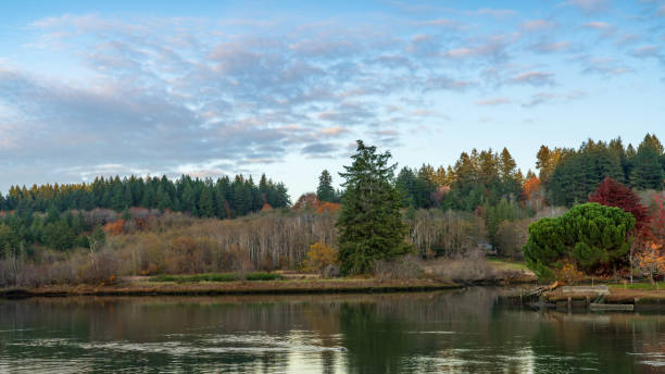 istock Autumn Colors Along Mud Bay Puget Sound In Washington State 1184200312