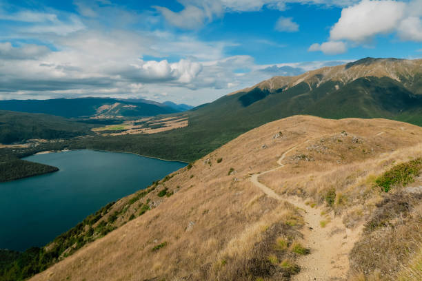 Rotoiti Lake Landscape A wide-view shot of the Nelson Lakes National Park, Rotoiti Lake can be seen on the left surrounded by natural landscape. nelson city new zealand stock pictures, royalty-free photos & images