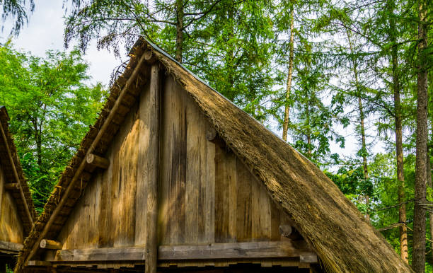 istock old medieval looking wooden rooftop with a thatched roof, historical architecture background 1184205966