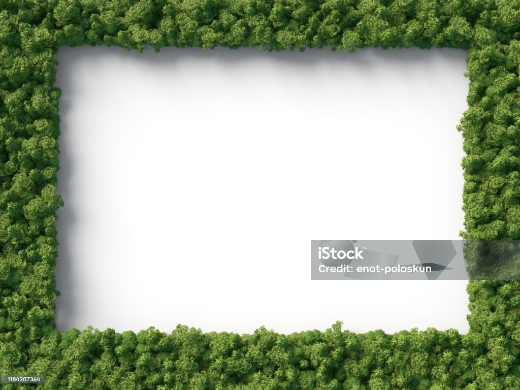 Forrest Frame Forest Frame Stock Photo - Download Image Now - Rectangle, Shape ...