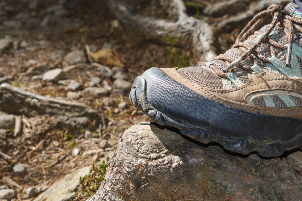 istock Hikers foot on the trail. 1184207619