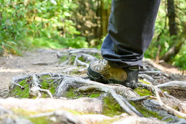 istock Hikers foot on the trail. 1184209062