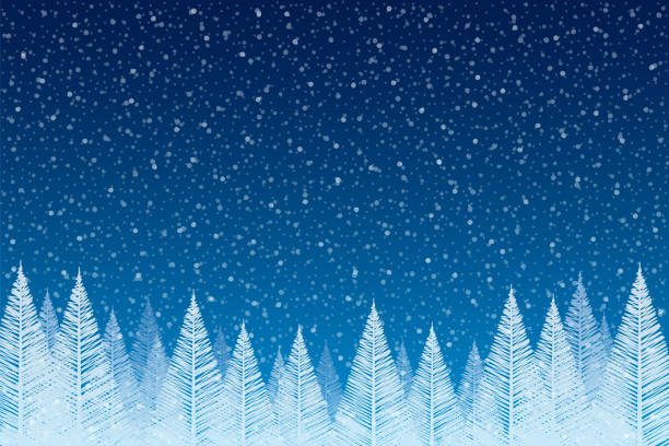 ilustrações de stock, clip art, desenhos animados e ícones de snowfall - tranquil christmas scene with falling snow and fir trees - wintry landscape snow fir tree winter