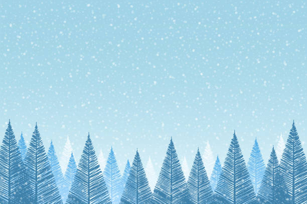 schneefall - ruhige weihnachtsszene mit fallendem schnee und tannenbäumen - christmas christmas tree snowing blue stock-grafiken, -clipart, -cartoons und -symbole