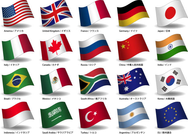 zestaw materiałów flagowych g20 - saudi arabia argentina stock illustrations