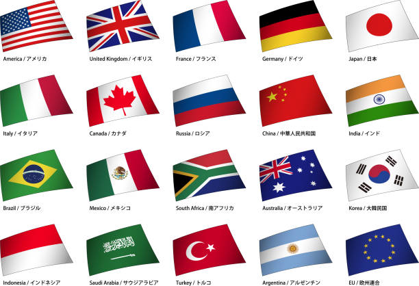 zestaw materiałów flagowych g20 - saudi arabia argentina stock illustrations