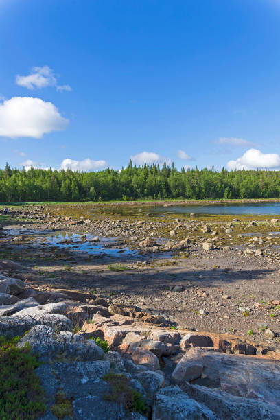 istock The littoral zone at low tide. 1184214663