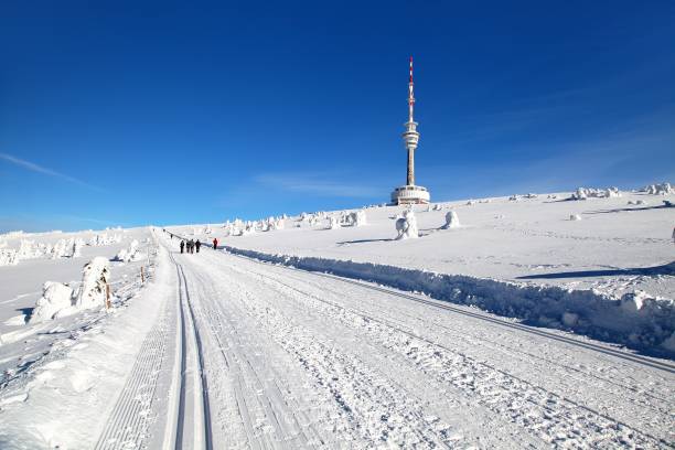 istock ski trail jesenik mountains mount praded 1184217798