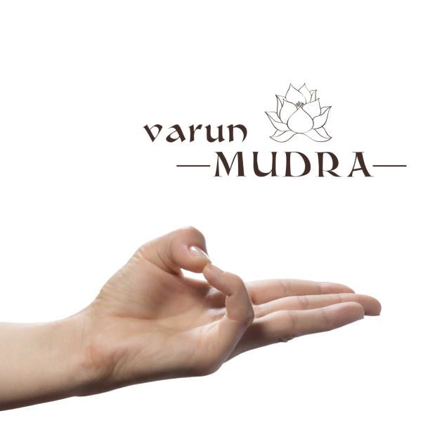 Varun mudra. Varun mudra. Yogic hand gesture on white isolated background. mudra stock pictures, royalty-free photos & images