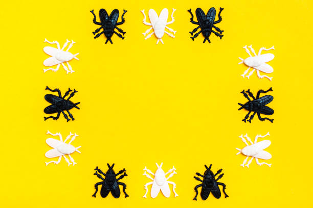 istock White and black plastic flies make up the frame on a yellow cardboard background. Ready Halloween invitation 1184219975