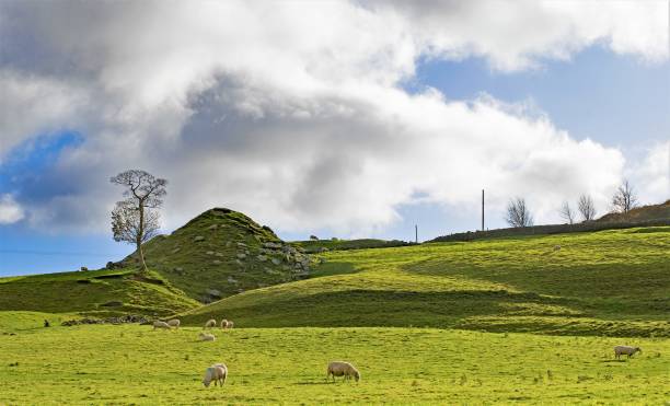 terres agricoles derrière le bronte parsonage, haworth, west yorkshire - haworth photos et images de collection