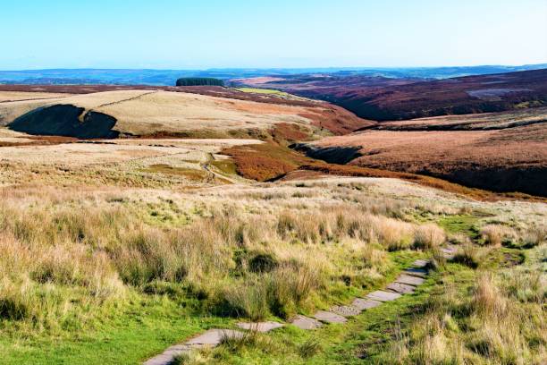 marécage sauvage automnale, top withens, haworth, west yorkshire - haworth photos et images de collection