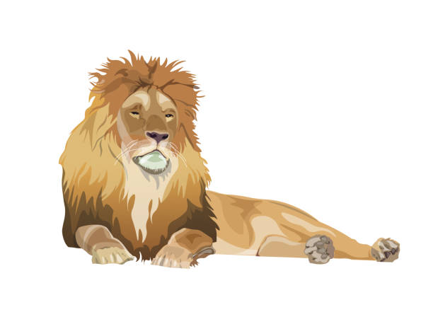 ライオンが横たわる、リアルなスタイルでベクター画像 - pride of lions点のイラスト素材／クリップアート素材／マンガ素材／アイコン素材