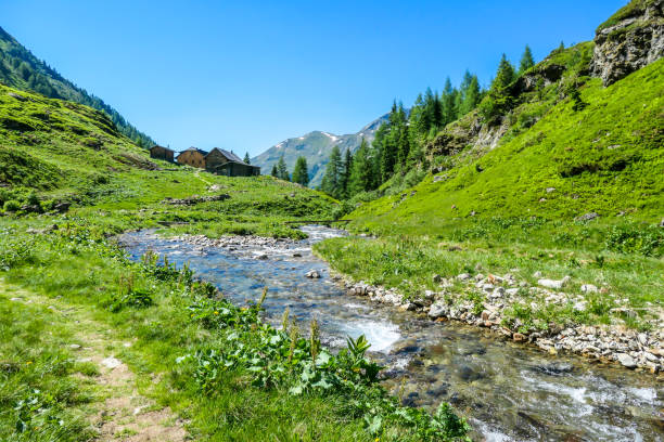 istock Schladming - A mountain stream starting it's journey 1184222503