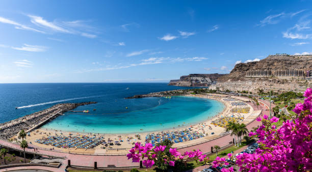 istock Landscape with Amateur beach 1184224250