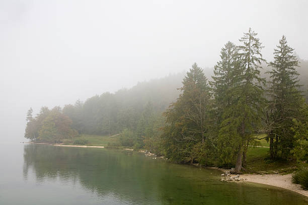 istock Lake Bohinj Slovenia 118422426