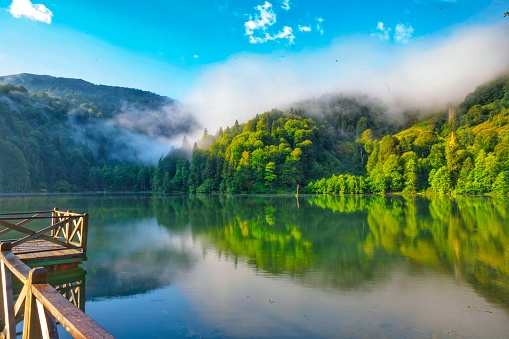 Lake in Park Brdo near Kranj, Gorenjska, Slovenia
