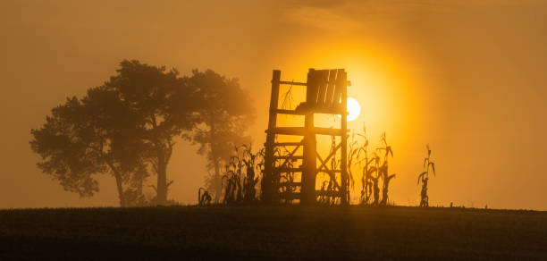 hunting tower on the field during sunrise