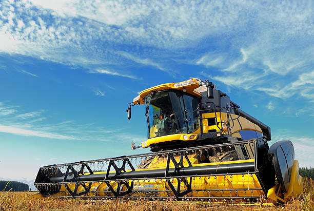 harvesting combine in the field stock photo