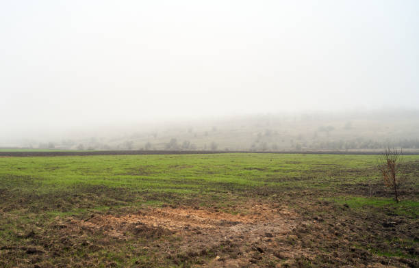 istock beautiful landscape in the countryside, farm 1184228954