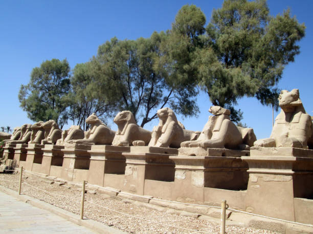 istock Sphinx Avenue Karnak Temple Luxor Egypt 1184229125