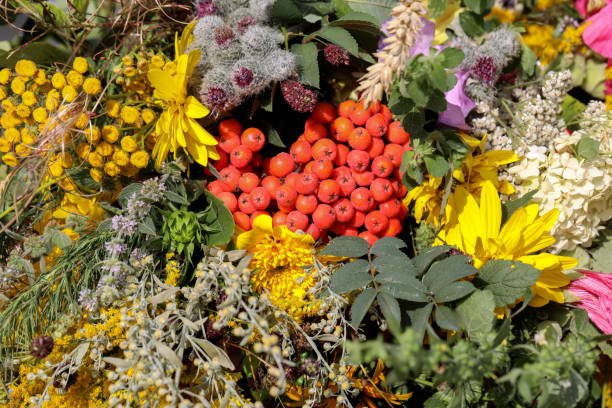istock handmade  beautiful bouquets from flowers and herbs 1184229176