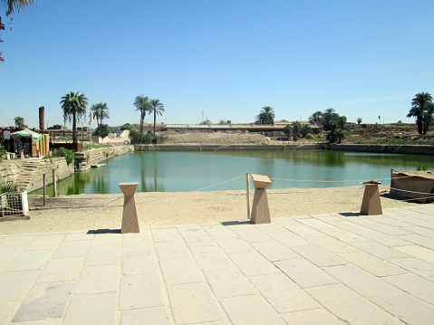 Sacred Lake at the Karnak Luxor Temple Egypt Africa during a visit on September 30, 2019\n\nEach Egyptian temple had a sacred lake. Lake Karnak was the largest and was used daily by priests for purification. The sacred lake was also used during festivals in which images of the gods traveled across the lake in boats. The lake measures 130 X 77 m and is surrounded by wineries and the houses of the priests.\nThe great sanctuary of Ammon, for more than two millennia, the pharaohs embellished the main center of worship of Egypt, dedicated to Ammon, the great god of the new empire.