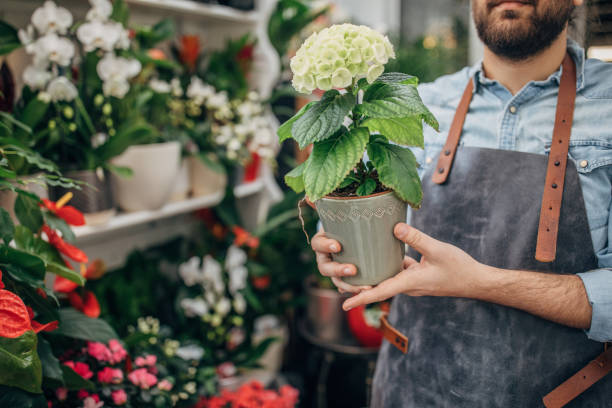istock Young man working at the flower shop 1184230310