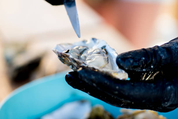 istock oyster is opened and cut with a special knife 1184230361