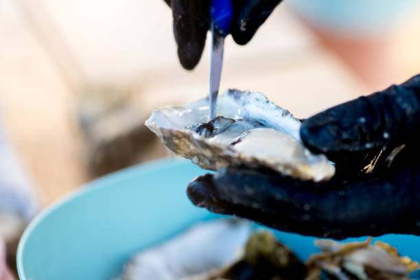 ostra é aberta e cortada com uma faca especial - prepared oysters prepared shellfish shucked seafood - fotografias e filmes do acervo