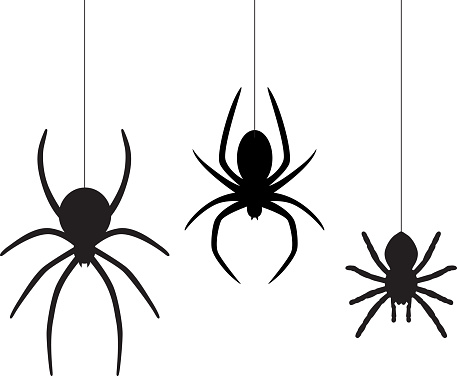 Vector illustration of three black dangling spiders on a white background.
