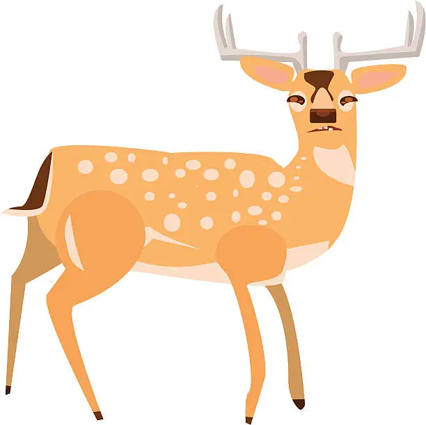 Vector illustration of Fallow Deer