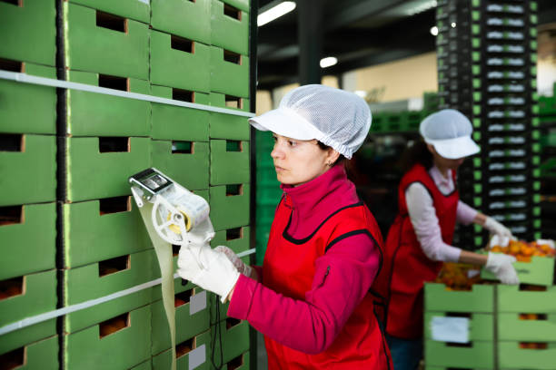 istock Nice workwoman sticking labels on carton boxes 1184233707
